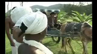 Kòm Negras da senzala