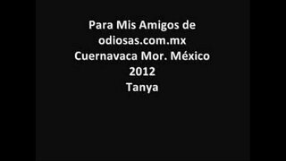 слива Куэрнавак мексиканский masturbada